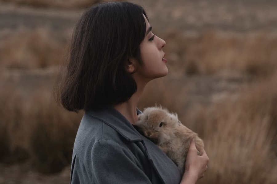 We never test on animals