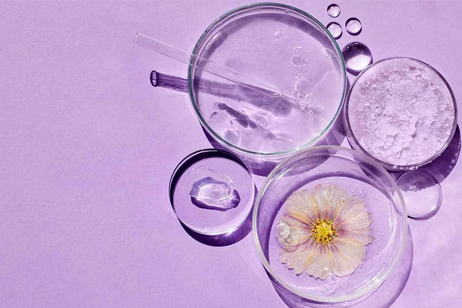 Fabricantes Cosmética Natural Productos de Cosmética Natural de CarasaLab