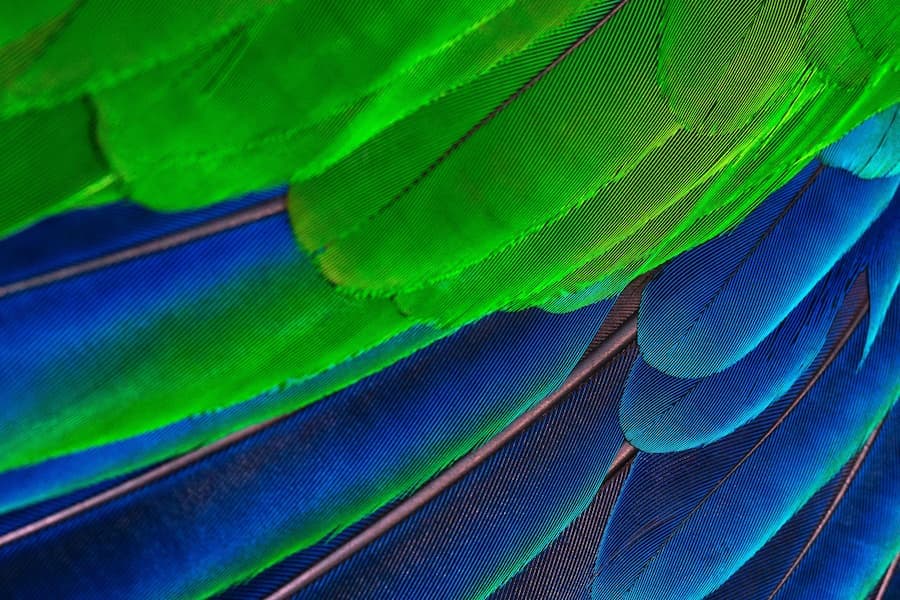 Tintes en gotero – CarasaLab Tintes en gotero, semipermanente y sin oxidación