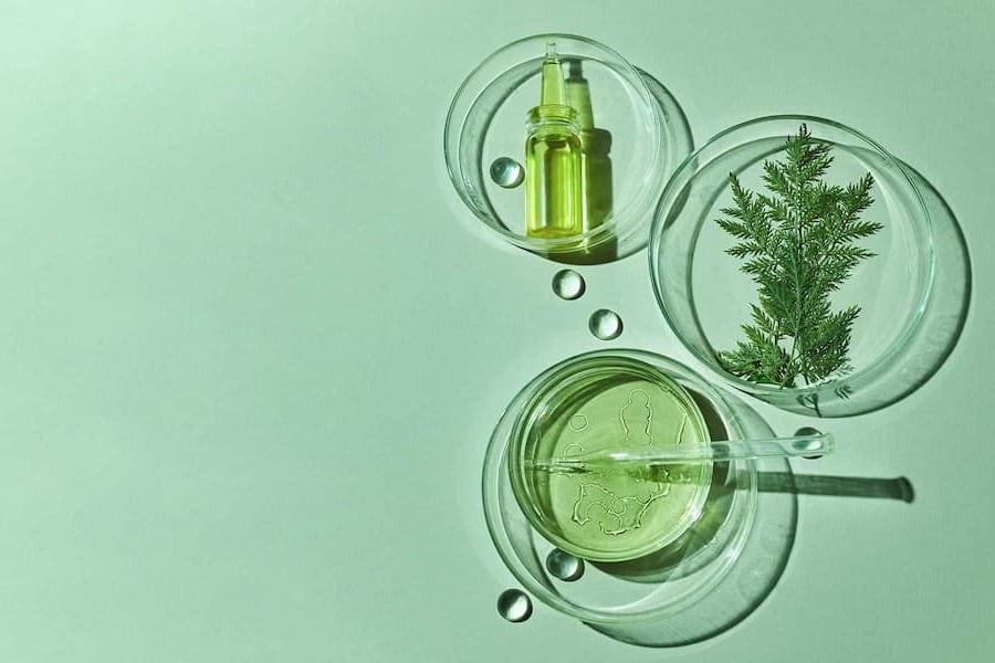 The distribution of natural and sustainable cosmetics is undoubtedly a trend that is here to stay.