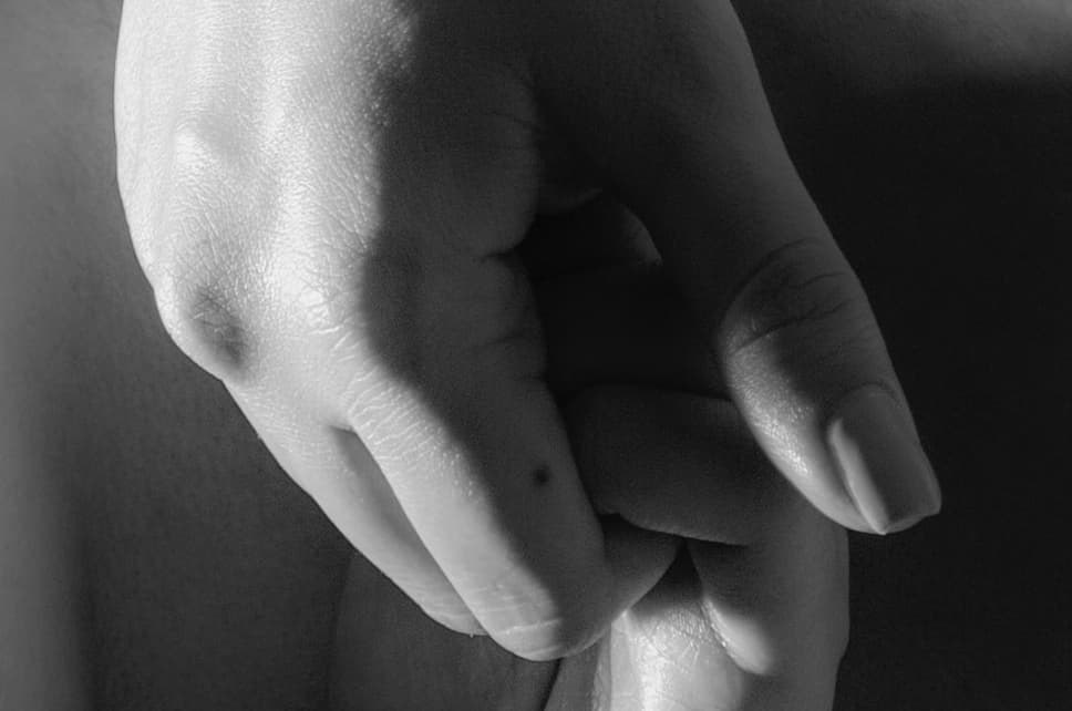 Rosehip / Argan Oil, Jojoba, Almonds / Grape Seed.