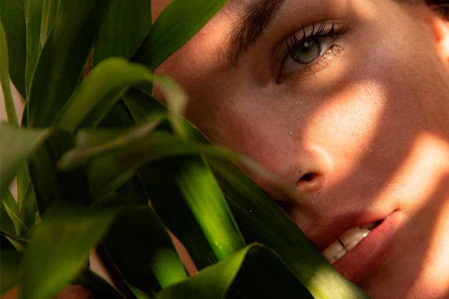 Vegan, natural, ecological and organic products