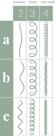 Tabla Clasificación Rizos